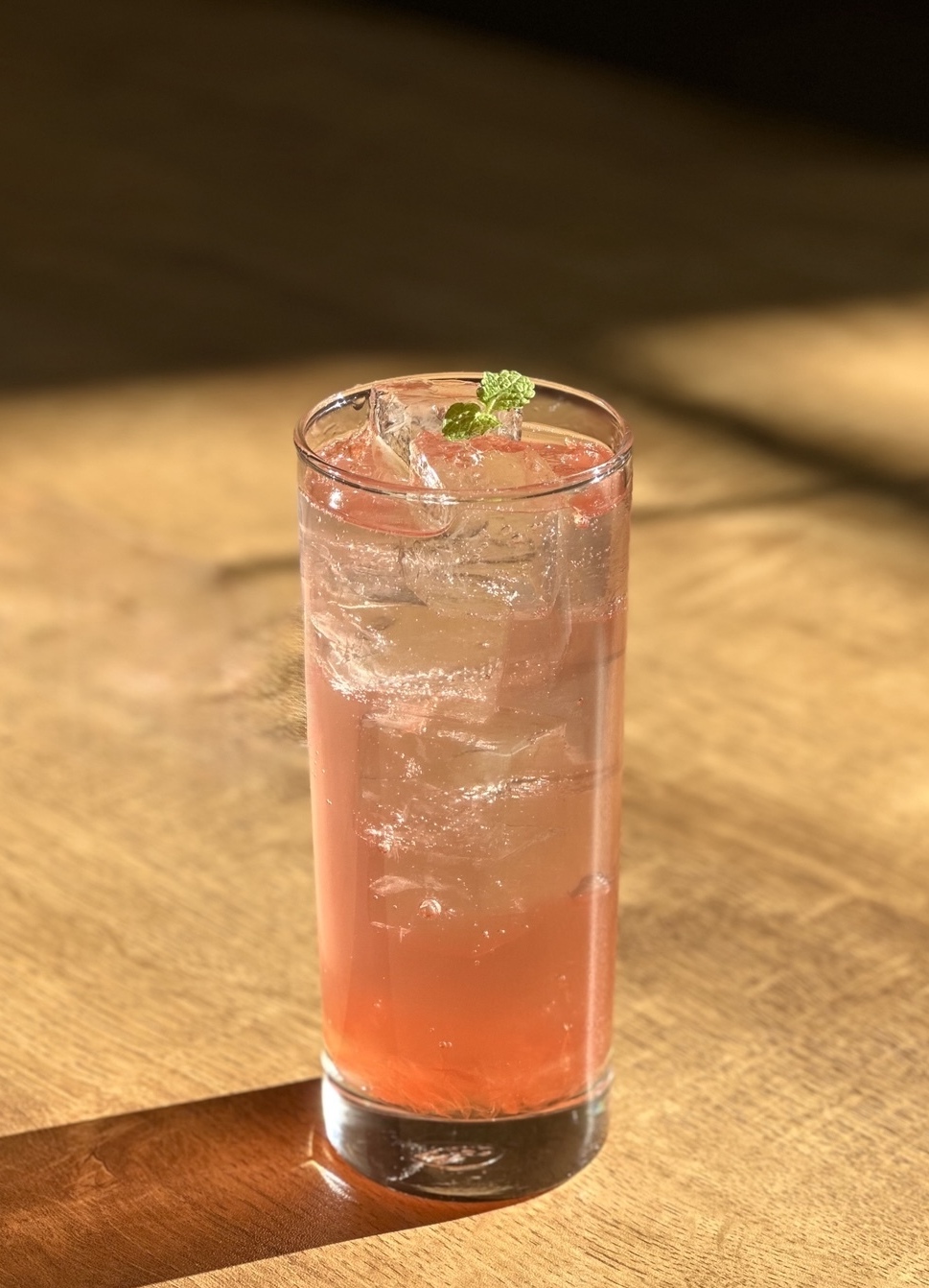 오미자몽 에이드